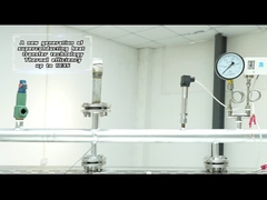 ZQJ-300KG-0.7Mpa गैस चालित मॉड्यूल फर्नेस स्टीम जेनरेटर